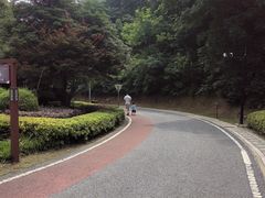 -桃花岭景区