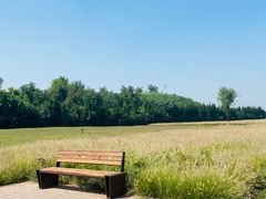 -汉长安城未央宫国家考古遗址公园