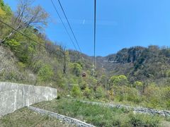 -牛背梁国家森林公园