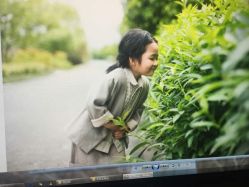 -至上宝贝儿童摄影(城堡店)