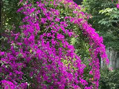 -大妙火锅·非物质文化遗产(东湖公园店)