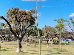 -长洲岛都市农业公园