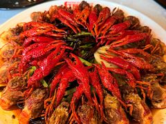 -红盔甲·小龙虾(天钥桥店)