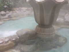 android_upload_pic-金方森林温泉