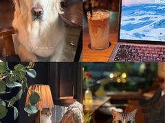 -咖法森林·咖啡  酒吧(天河店)