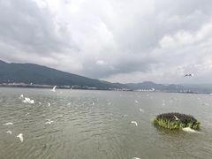 -海埂大坝