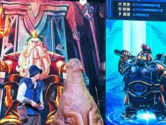 -哈尔滨波塞冬海底世界