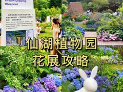 -深圳市中科院仙湖植物园