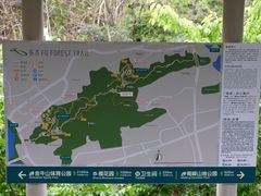 -福道
