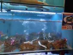 -南海渔家•海鲜•正宗海南菜(海棠湾店)