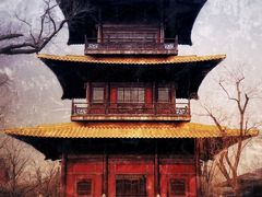 -广富林郊野公园