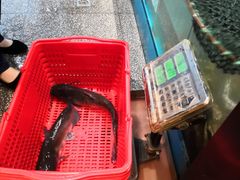 -老板恋上鱼(荣盛广场店)