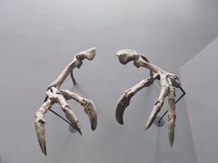 -重庆自然博物馆(新馆)