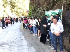 -九龙江国家森林公园