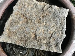 -鄞州雪菜博物馆