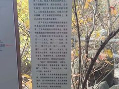 -崂山巨峰游览区