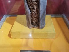 -上海昆虫博物馆