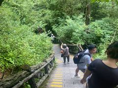 -汤旺河林海奇石景区