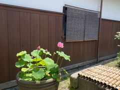 -中村藤吉(本店)