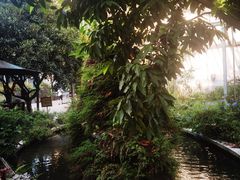 -凤来栖·净庭院·火锅(欧尚店)