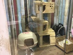 -小时光咖啡馆(开森度假森林店)