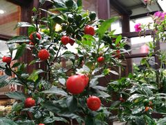 -瑞丰园庭院餐厅·白族传统家常菜