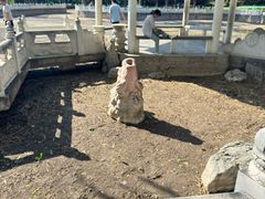 -丰台花园