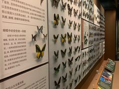 -天津自然博物馆