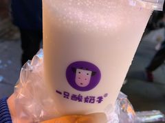 -一只酸奶牛(八一路店)