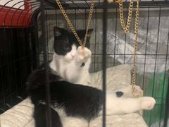 -SAH健身私教工作室(紫东店)