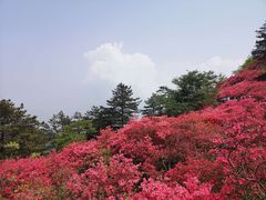 -木兰云雾山