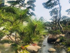 -罗红摄影艺术馆