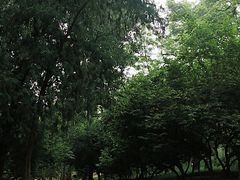 -元大都城垣遗址公园