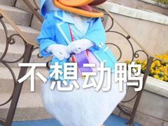 -犀牛家猪排