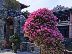 -东莞市可园博物馆