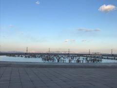 -东港音乐喷泉广场