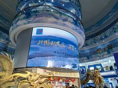 -龙塔