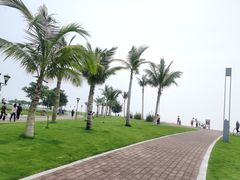 -野狸岛