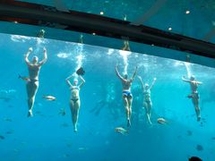 -瑞德姆美人鱼海底演艺主题餐厅(亚龙湾店)