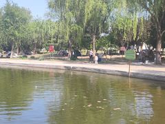 -太阳宫公园