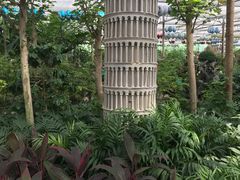 -南宫五洲植物乐园