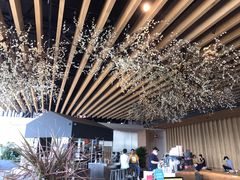 -Seesaw Coffee(朝阳大悦城店)