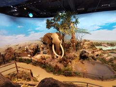 -陕西自然博物馆