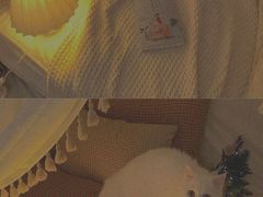 -海底捞火锅(勒泰店)