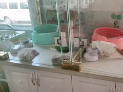 -糯米喵星人总部直营旗舰店·猫舍·幼猫出售