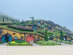 -仰天湖大草原