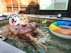 -御林汤泉