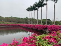 -广州莲花山旅游区