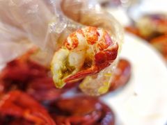 蒸虾-虎虎龙虾•9年湖北匠(双井店)