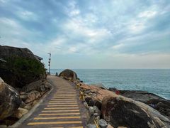 -广东惠东海龟国家级自然保护区